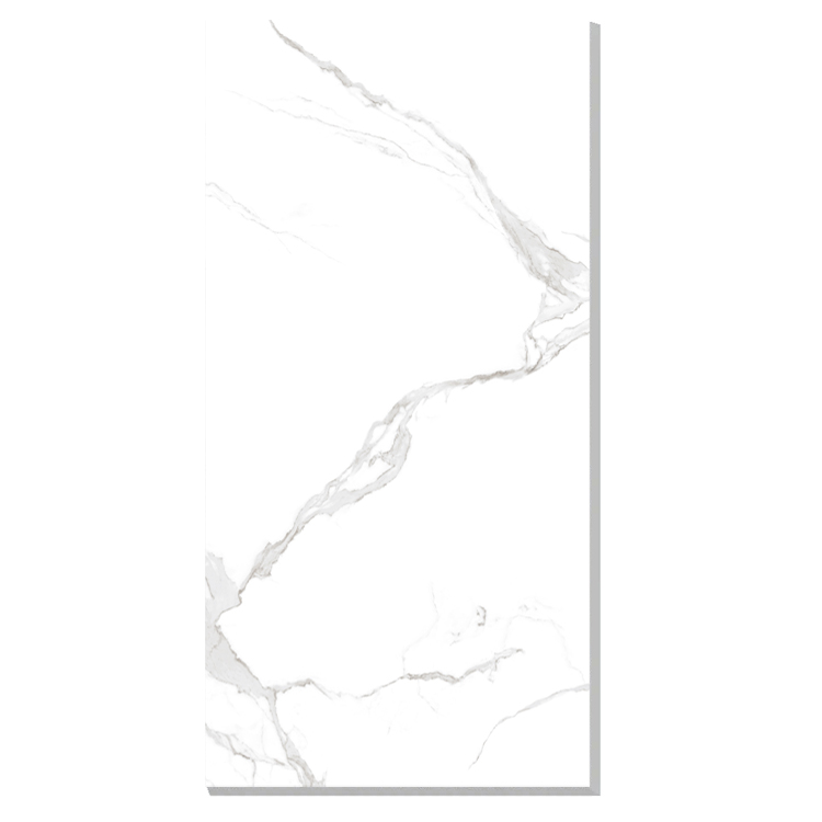 YCGF-YBB24002